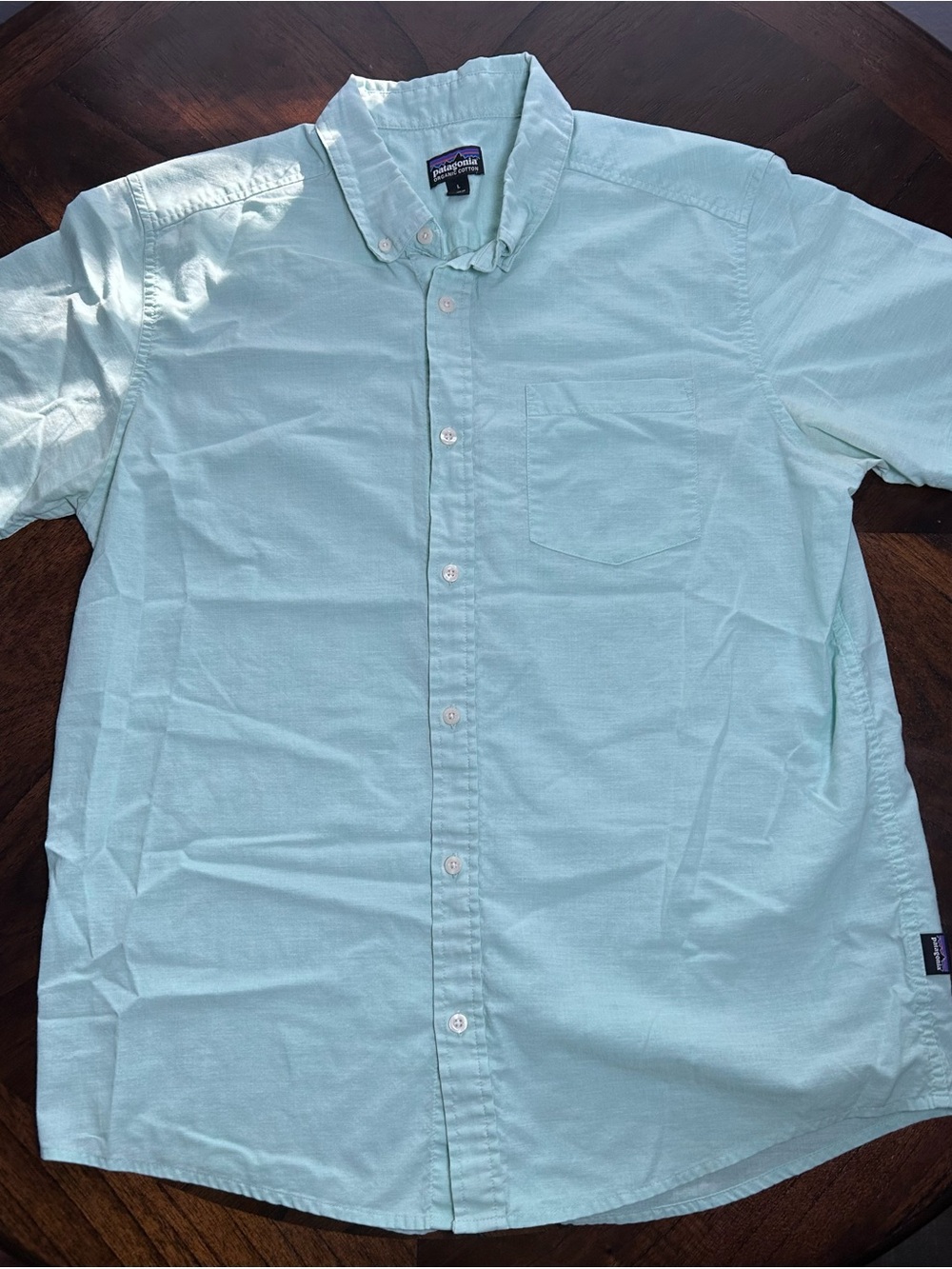 Patagonia Short-Sleeve Button-Down Shirt in Mint Green